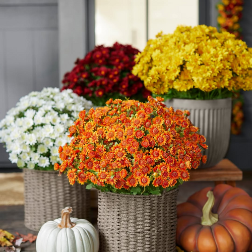 🏆Flash Sale⚡Artificial Outdoor Sunset Mums Flowers 🌻- UV resistant, Waterproof, Windproof 💧